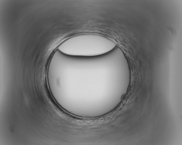 X0000114230005200910091338