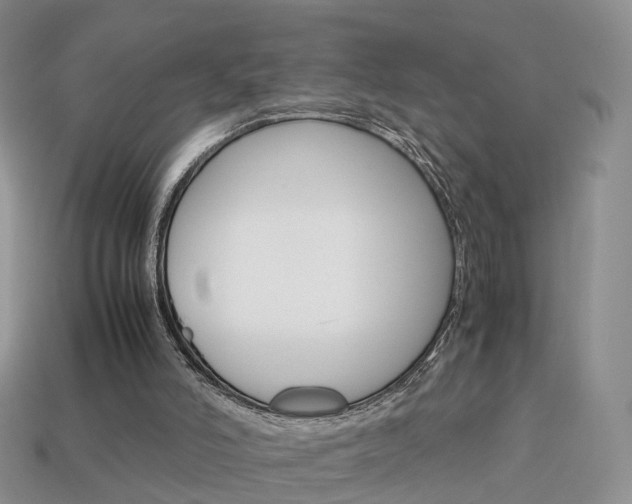 X0000114230006200910091338