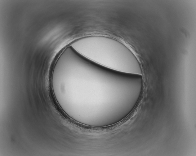 X0000114230008200910091338