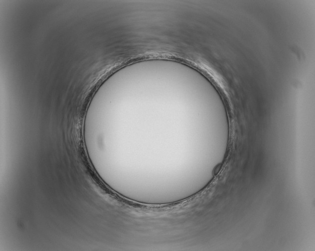 X0000114230009200910091338