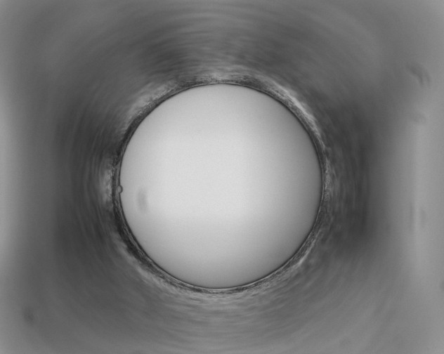X0000114230010200910091338