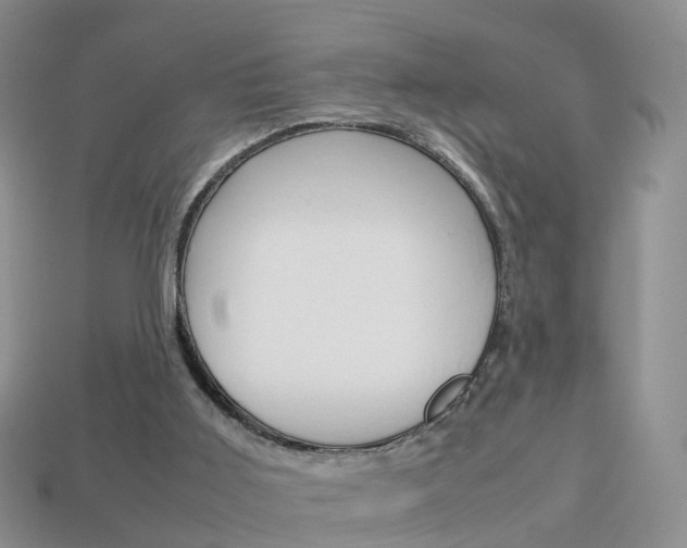 X0000114230011200910091338