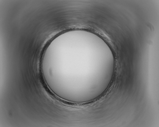 X0000114230012200910091338