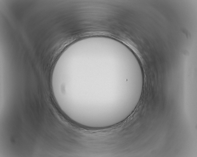 X0000114230013200910091338