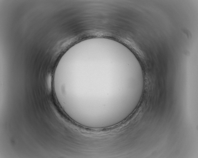 X0000114230014200910091338