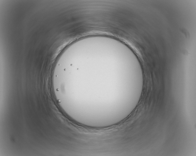 X0000114230015200910091338