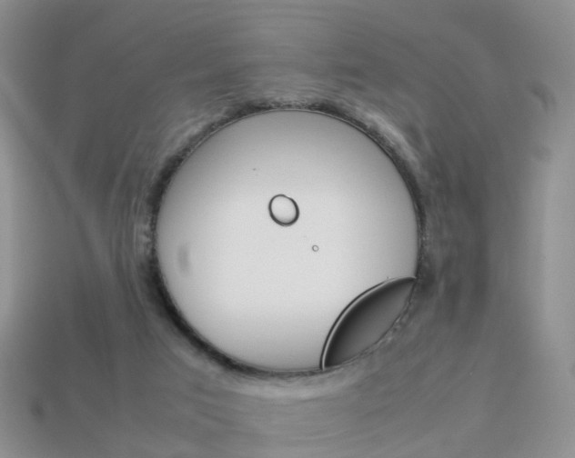 X0000114230017200910091338