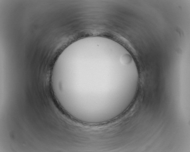X0000114230018200910091338