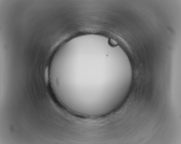 X0000114230020200910091338