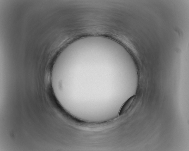 X0000114230021200910091338