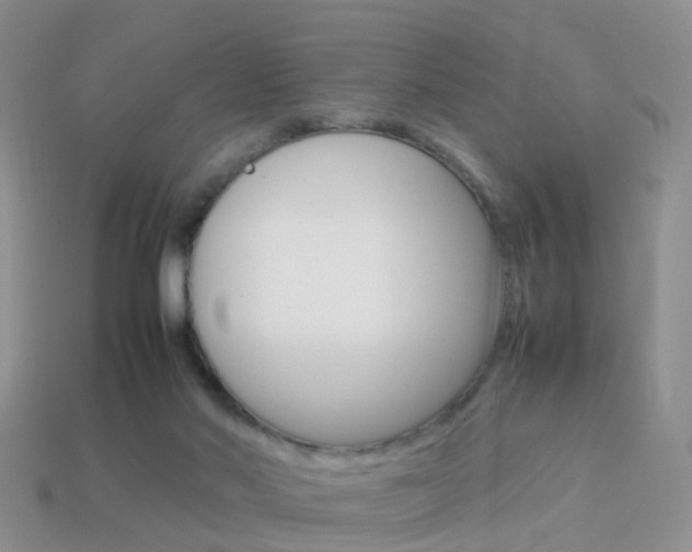 X0000114230022200910091338