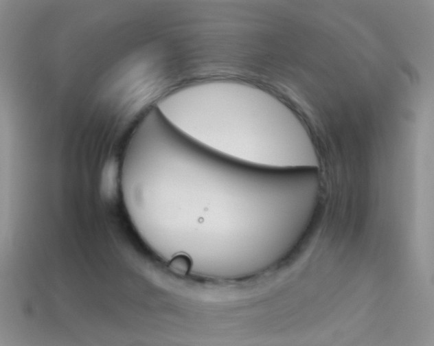 X0000114230024200910091338