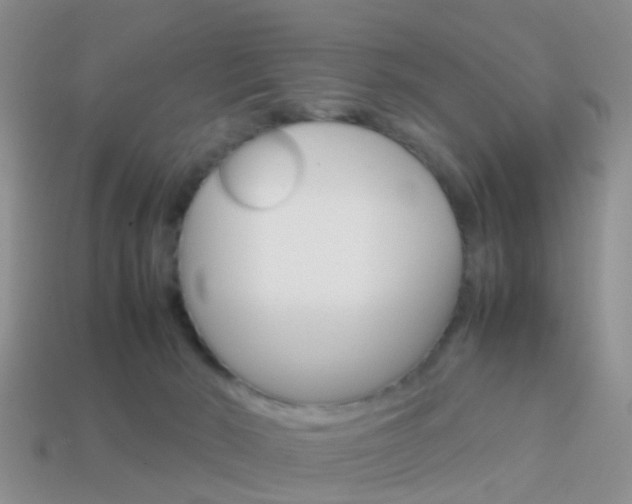 X0000114230030200910091338