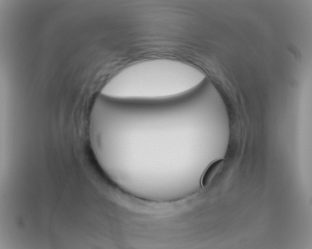 X0000114230031200910091338