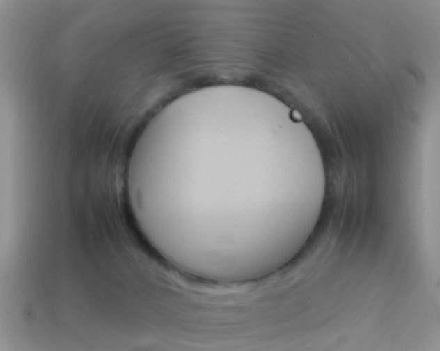 X0000114230032200910091338