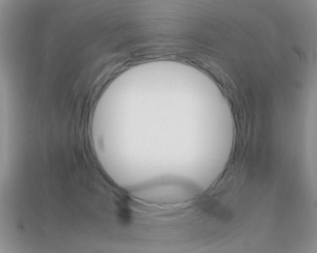 X0000114230035200910091338