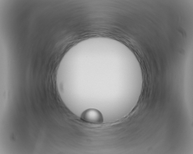 X0000114230037200910091338