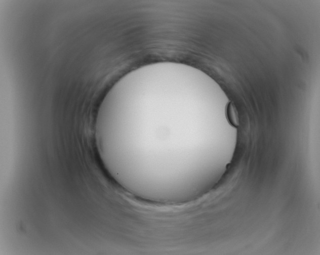 X0000114230040200910091338