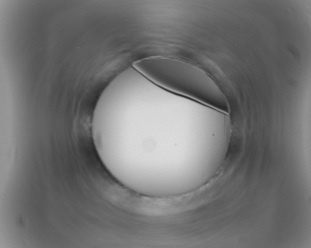 X0000114230045200910091338
