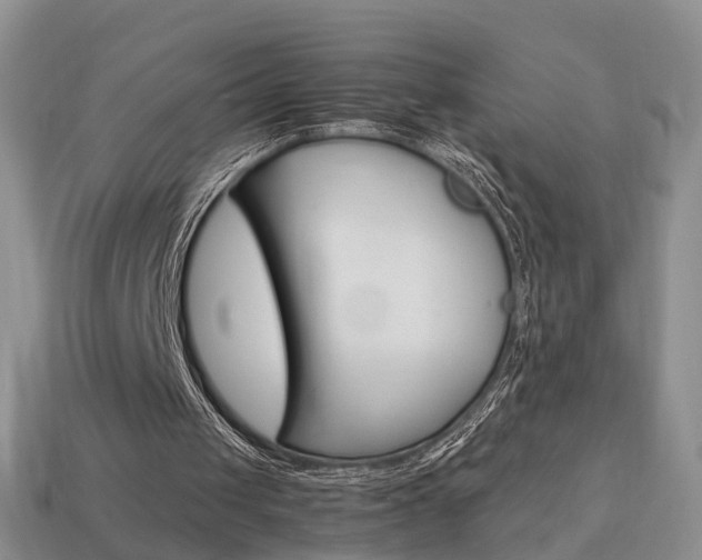 X0000114230049200910091337