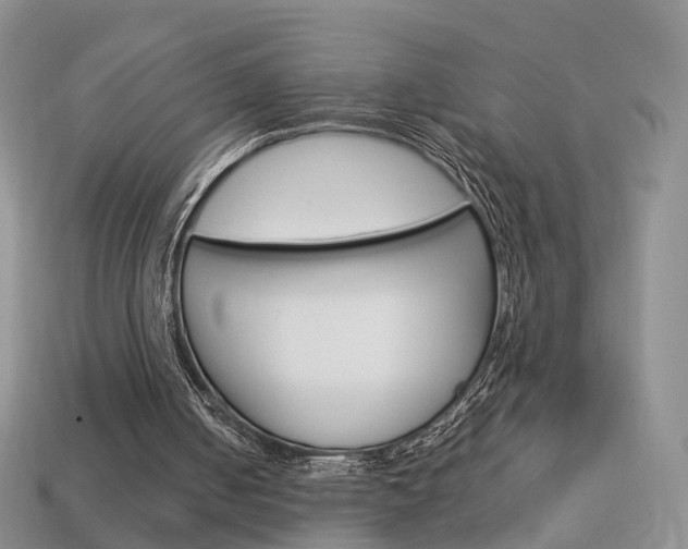 X0000114230050200910091337
