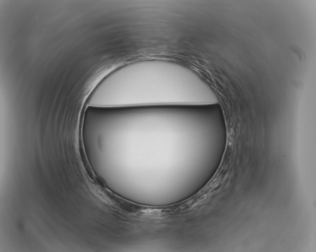X0000114230052200910091337