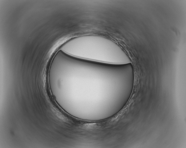 X0000114230054200910091337