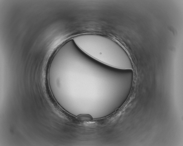 X0000114230055200910091337