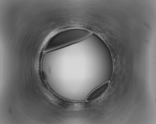 X0000114230056200910091337