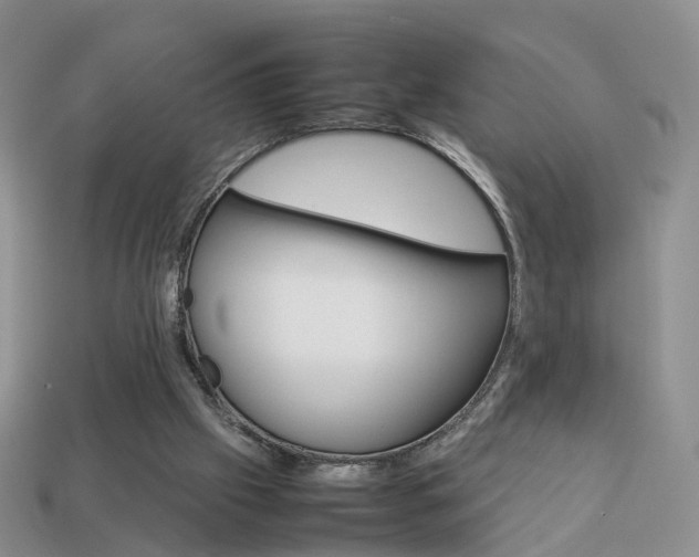 X0000114230057200910091337