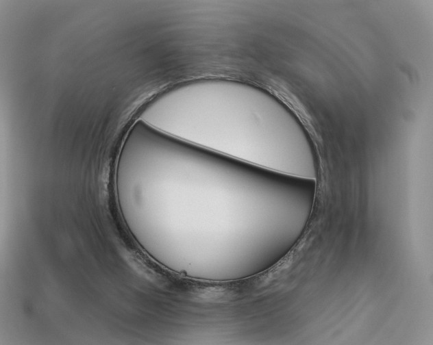 X0000114230058200910091337