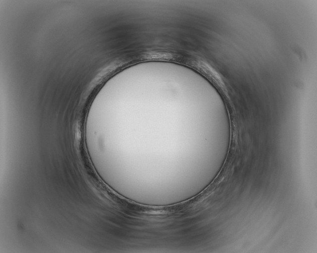 X0000114230059200910091337