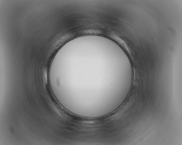 X0000114230061200910091337