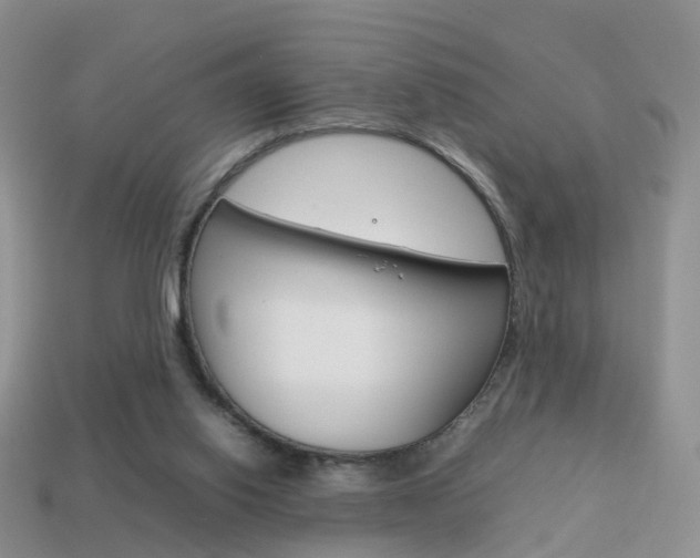 X0000114230062200910091337