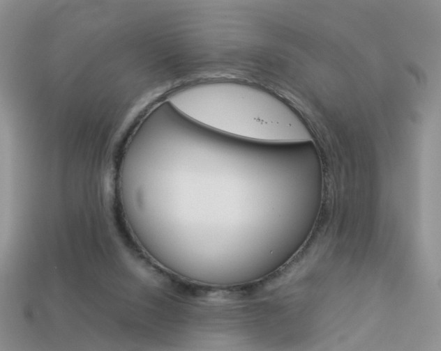 X0000114230064200910091337