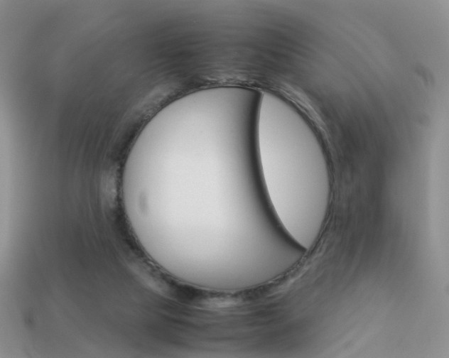 X0000114230065200910091337