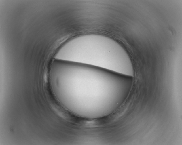 X0000114230068200910091337