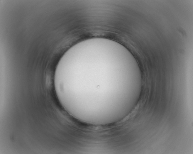 X0000114230074200910091337