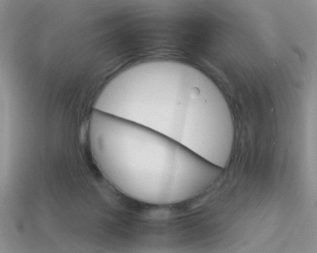 X0000114230075200910091337