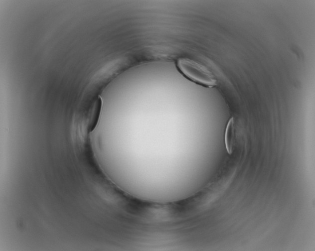 X0000114230076200910091337