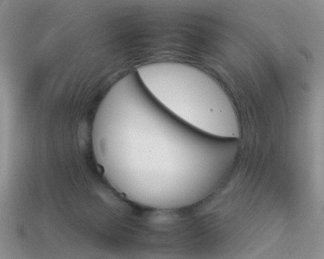 X0000114230077200910091337