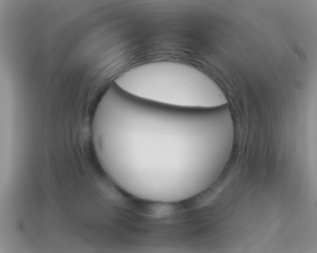 X0000114230085200910091337