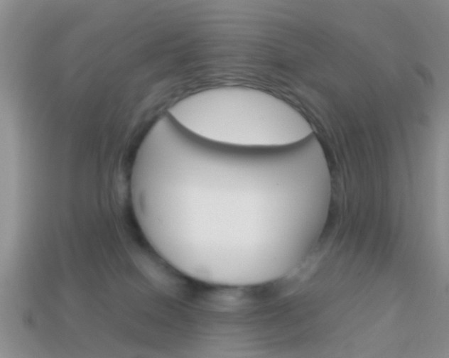 X0000114230086200910091337