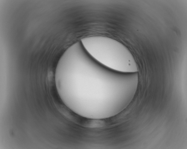 X0000114230087200910091337