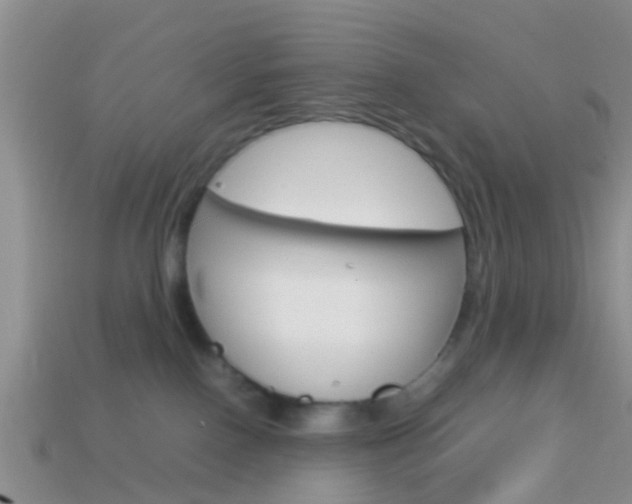 X0000114230090200910091337