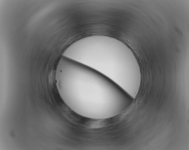 X0000114230093200910091337
