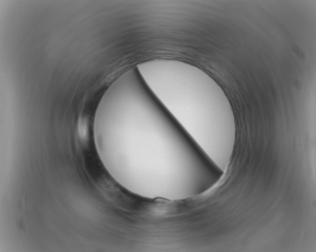 X0000114230094200910091337