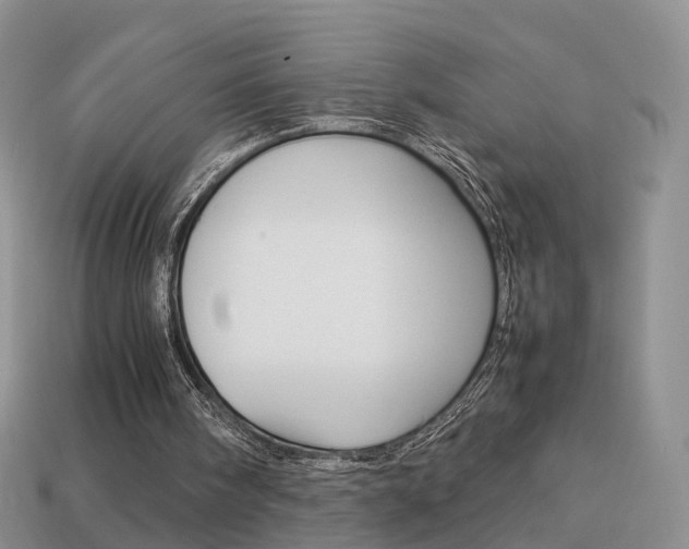 X0000114230098200910091337