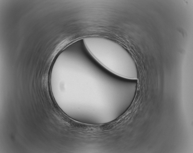 X0000114230099200910091337