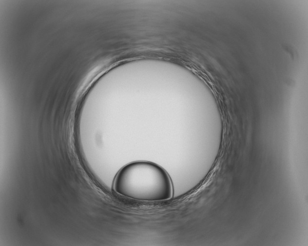 X0000114230101200910091337